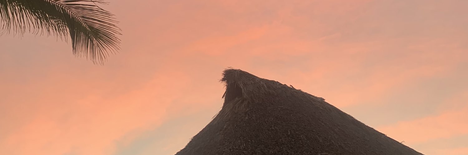 patovon23's profile banner image