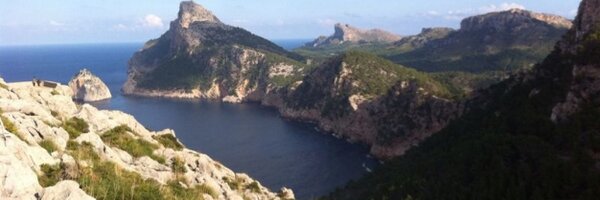 optimizador Profile Banner