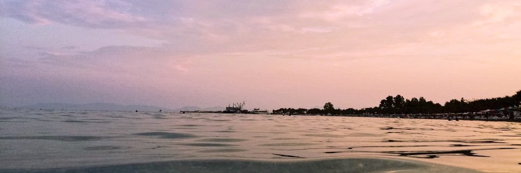 nazlicpk's profile banner image