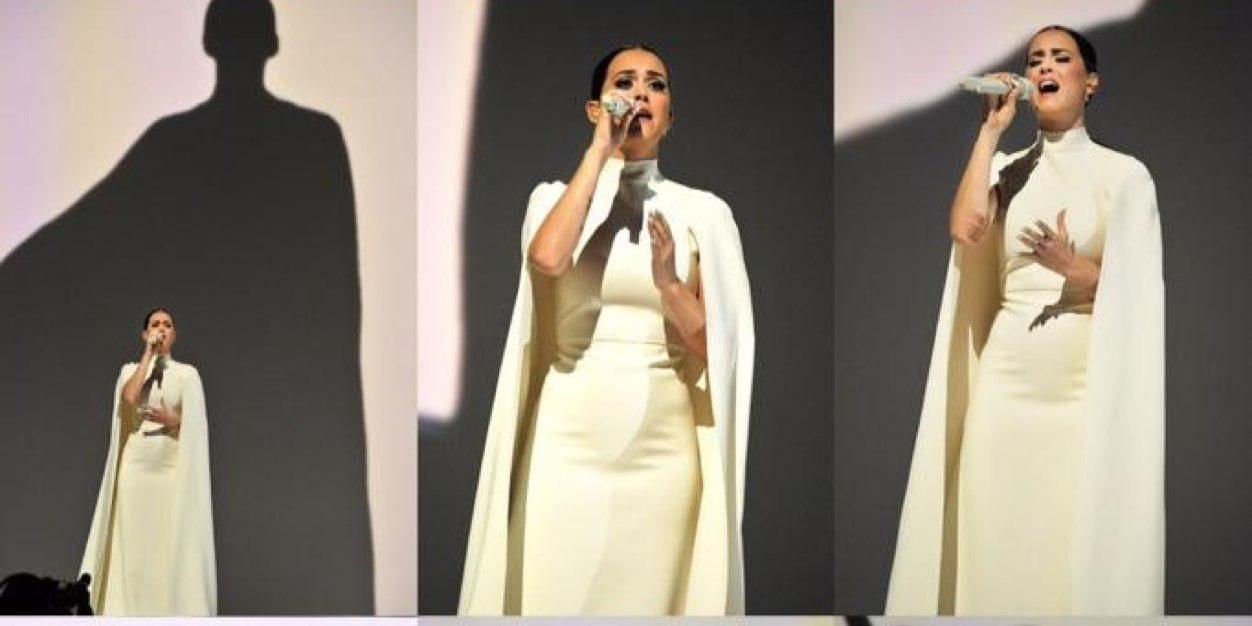 SepehrKatycat's profile banner image