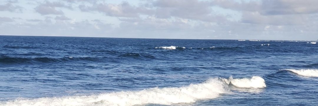 Zenyliizz's profile banner image