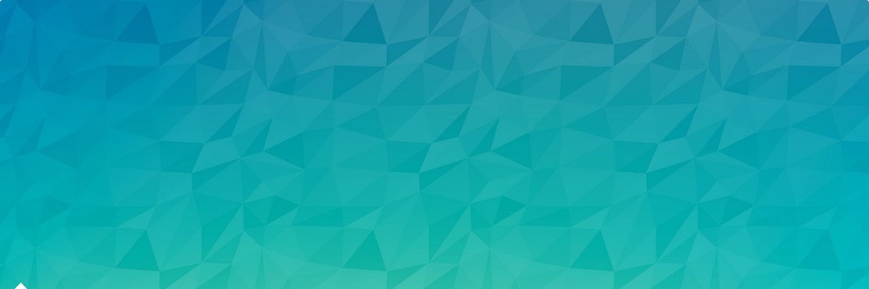 Erwan Bodescot banner