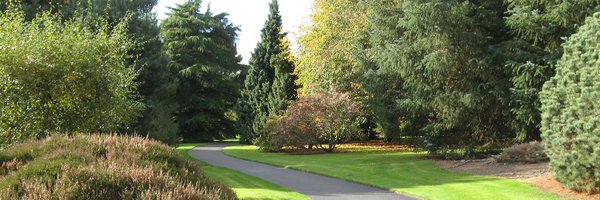 DundeeBotanics Profile Banner