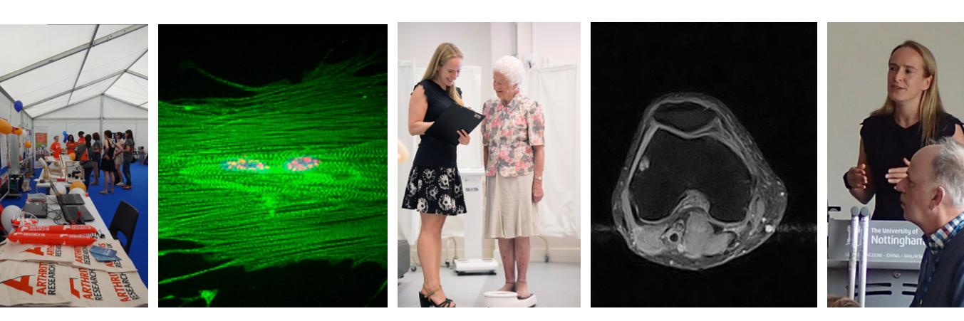 Dr Joanne Stocks banner