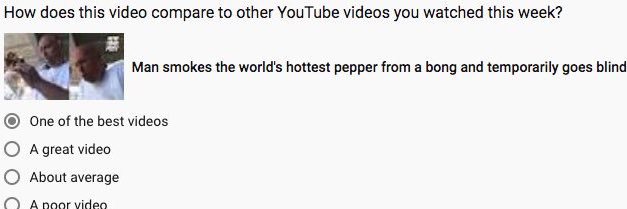 feb31st.bsky.social banner