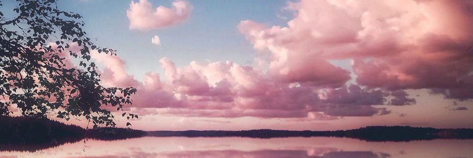 Mitasaurous's profile banner image