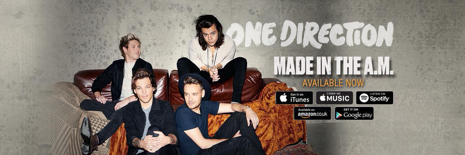 One Direction 1D DMs banner