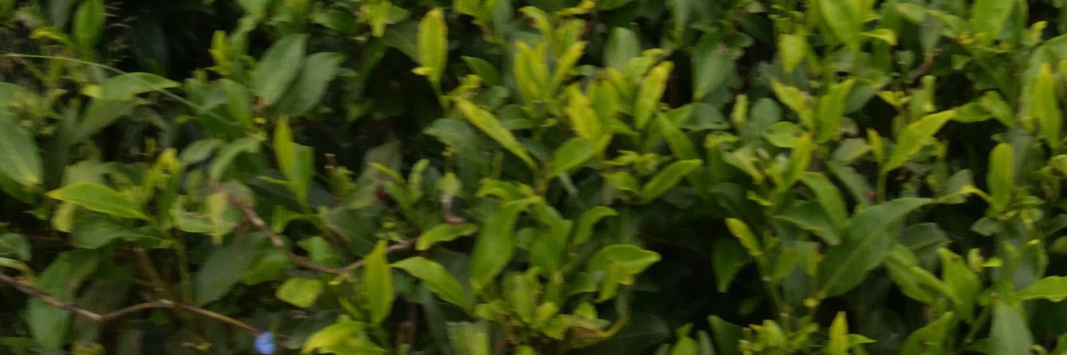 i_ha34's profile banner image