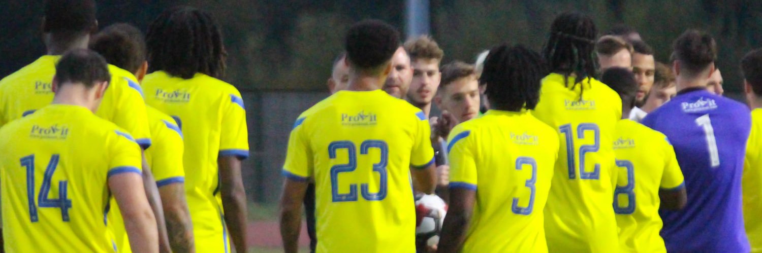 Dion Johnston banner