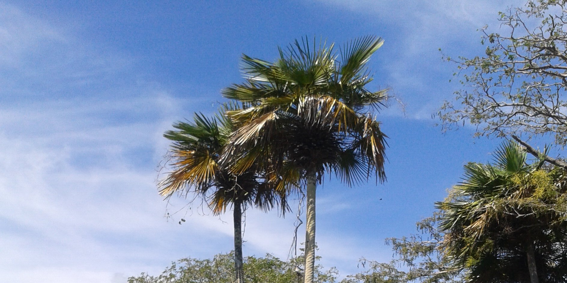 mailinavila's profile banner image
