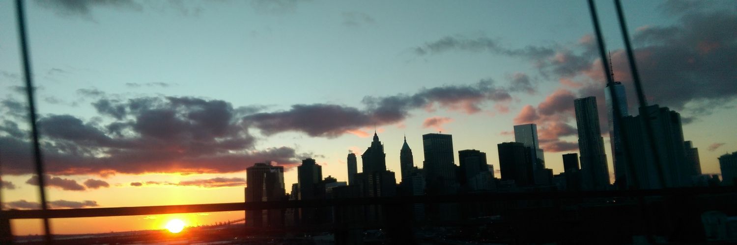 celinesolsken's profile banner image