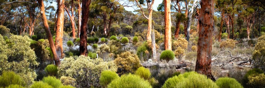 Goldfields Tourism WA banner