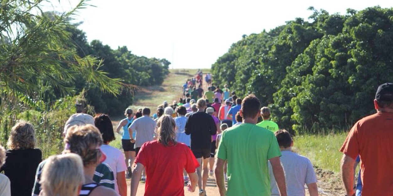 hallsparkrun's profile banner image