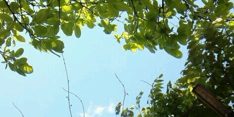 ぱんだ banner