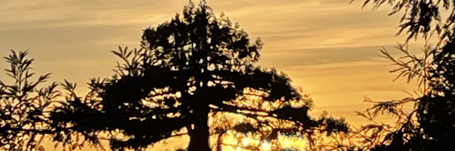 Aces Back-to-Back banner