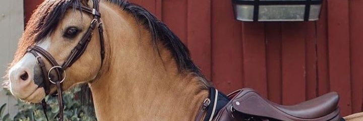 GimbaSM's profile banner image