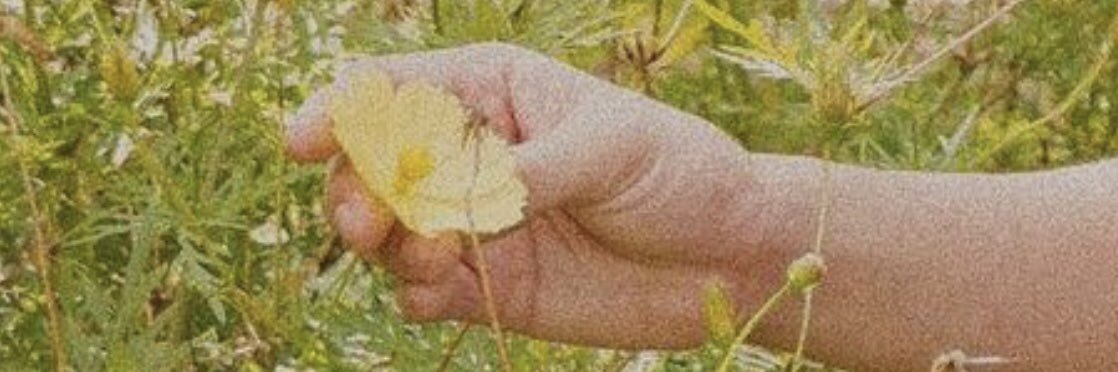 paudendum's profile banner image