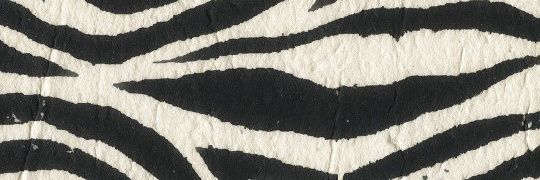 tenrymanding's profile banner image