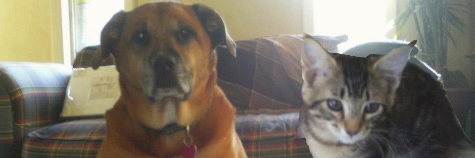 Jeff🌈✡🌿l😊🍃 https://bsky.app/profile/jeff1420.b banner