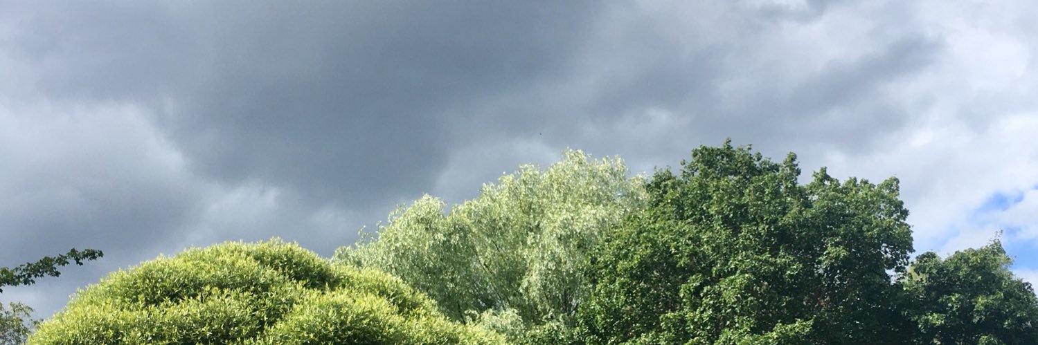 Adjektiven's profile banner image