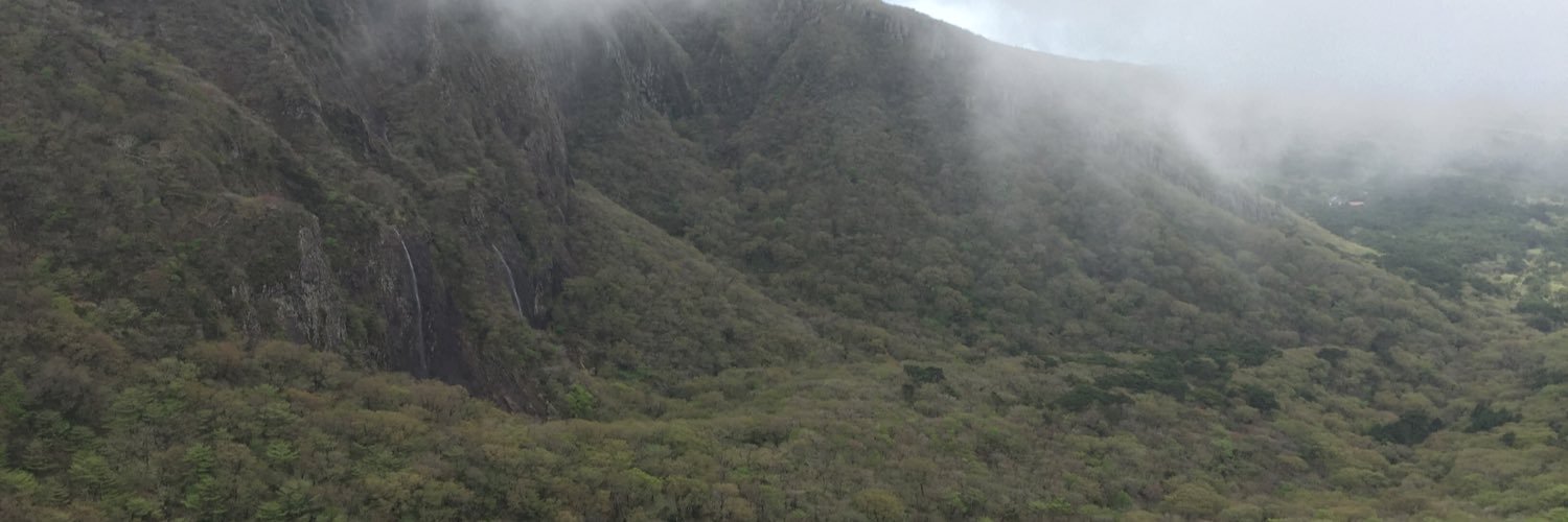 acperujia's profile banner image