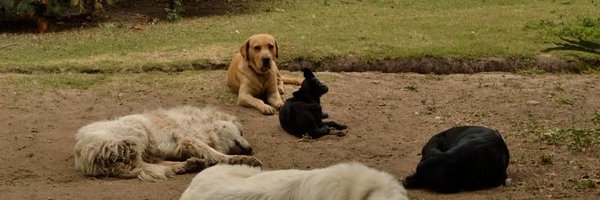 mgodoyf Profile Banner