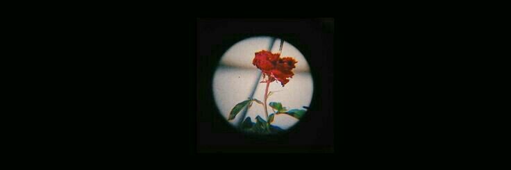seulgi__k's profile banner image