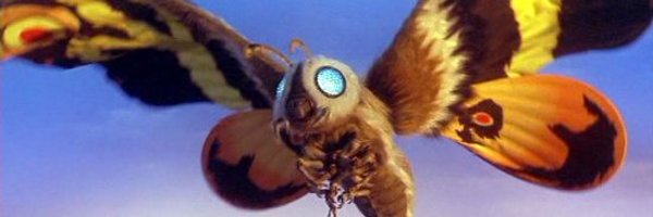 darabin Profile Banner