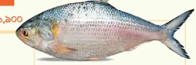 sagor110's profile banner image