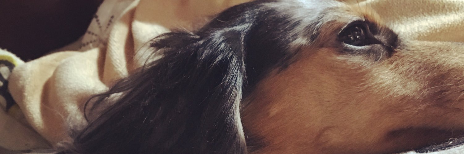 _SNOOPY_NUTS_'s profile banner image