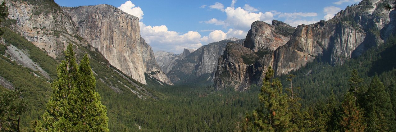 Sandy Harrison banner