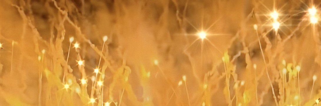 JKsboombox⁷ 🏳️‍🌈 banner