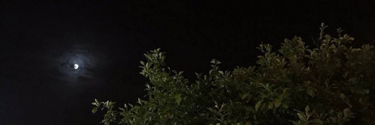 _N11n0's profile banner image