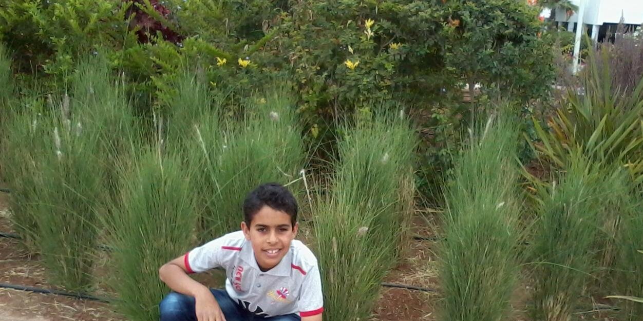 hamza baiz banner