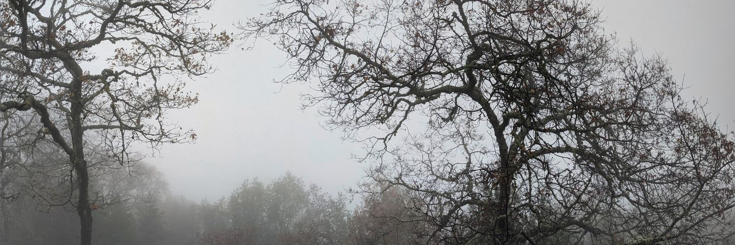 amurphous's profile banner image
