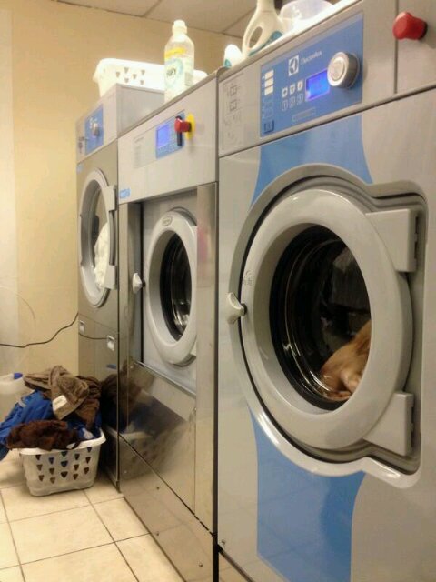 SwiftLaundry's profile banner image