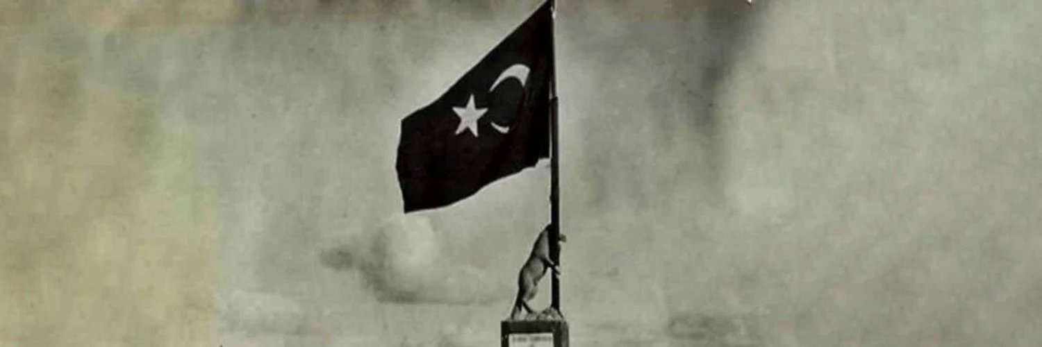 MBankoglu's profile banner image