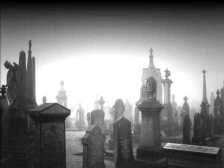 psycho_fm's profile banner image