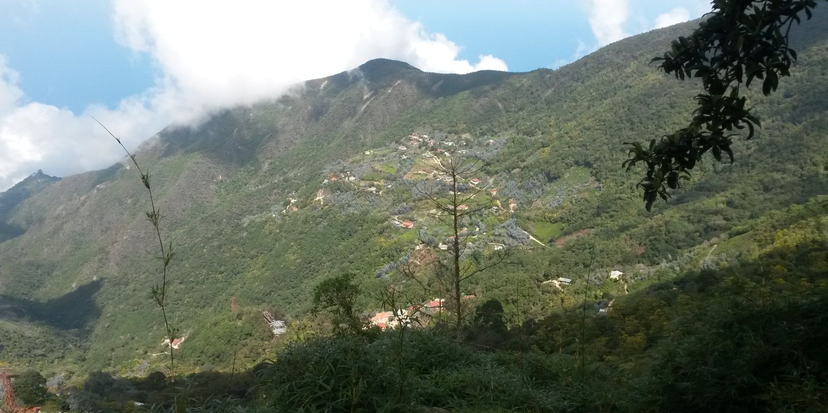 silvanaguia's profile banner image