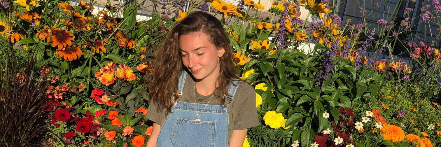 willipet_'s profile banner image