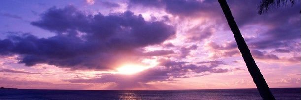 SarahDeanou's profile banner image