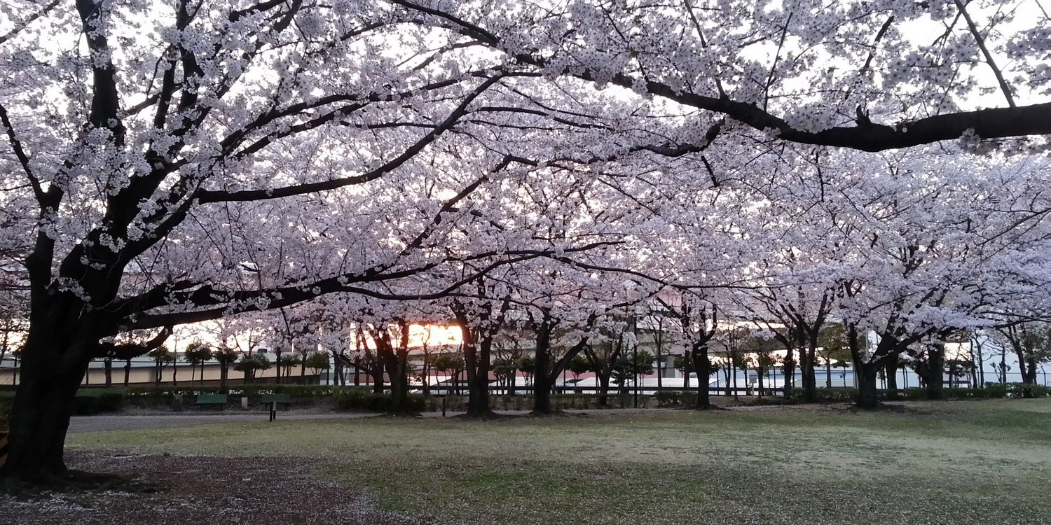 818NAHO's profile banner image