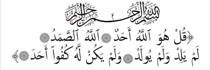 taqi445's profile banner image