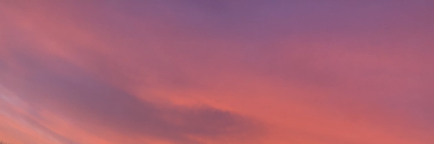 leece_'s profile banner image