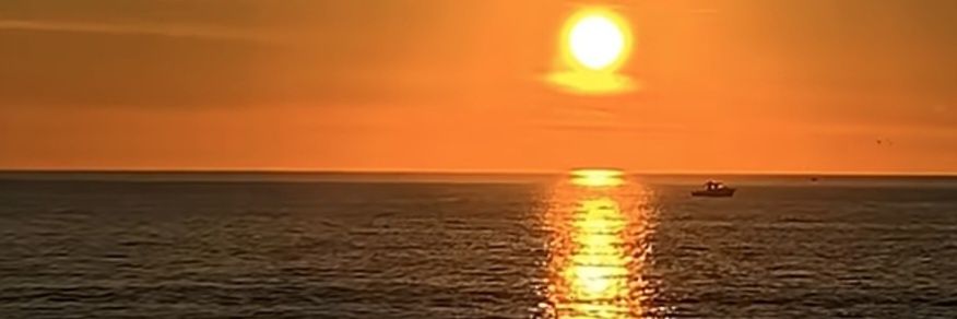 Omar  Pertusati banner