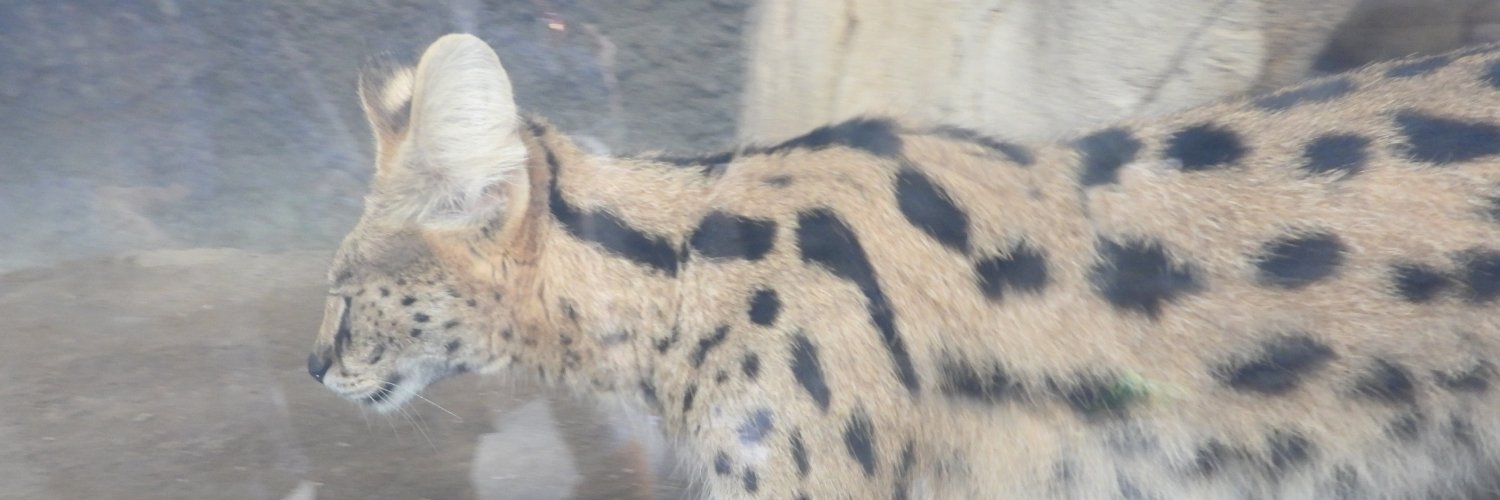 10tah01e's profile banner image