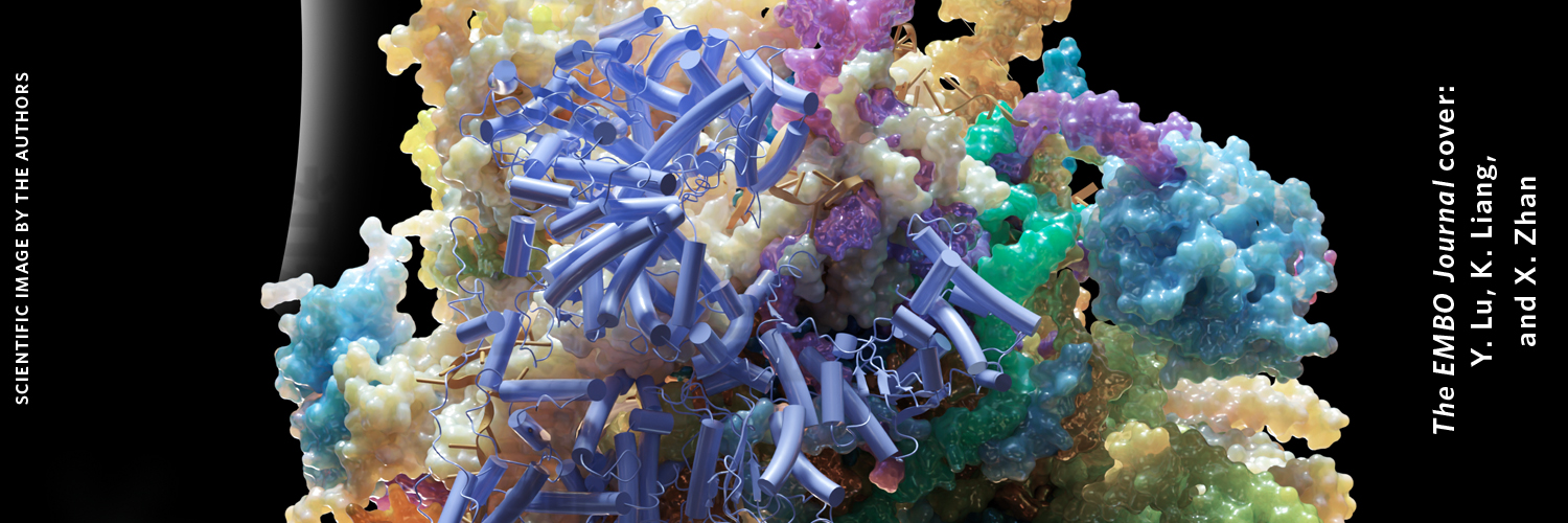 The EMBO Journal's banner