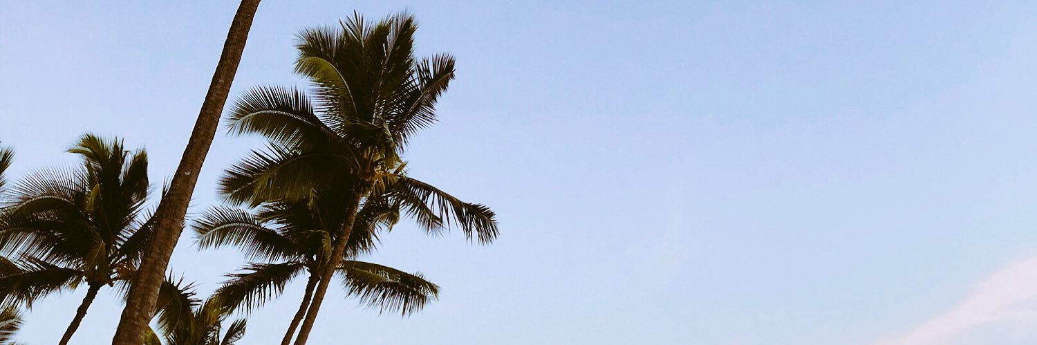 lindseyr2's profile banner image