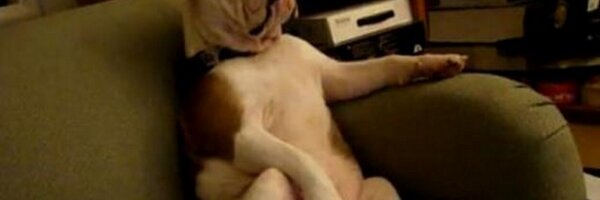 _DoctorLUB Profile Banner