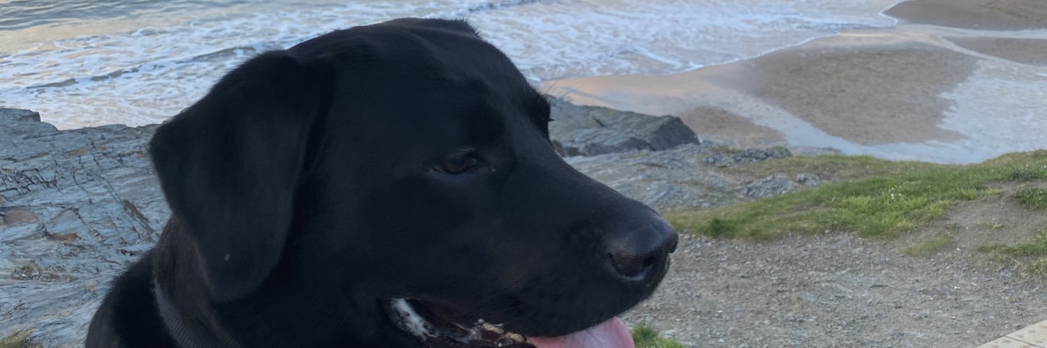 Cllr Martin Perry banner